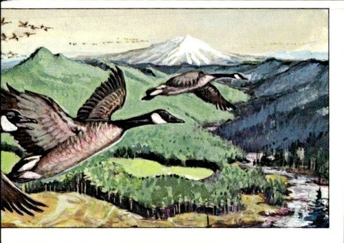 Figurina uccelli panini - uccelli, ed.panini