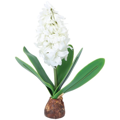 Fiore simulazione giacinto
