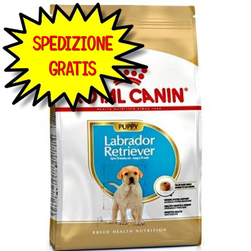 Royal canin cane labrador - canin,