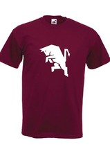 T-shirt TORO granata uomo