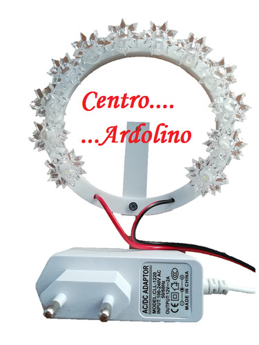 Coroncina stellario luminosa - coroncina,