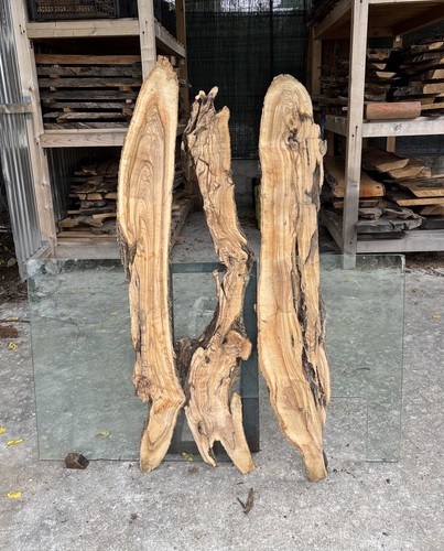 Tavolette legno ulivo 3 - tavolette,
