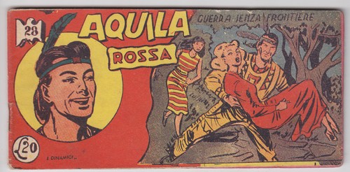 Aquila rossa tomasina - aquila,