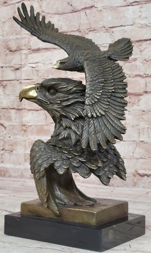 Grande aquila calva - aquila, americana