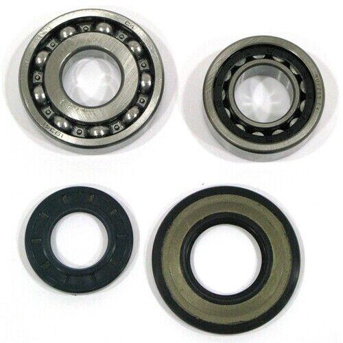 Kit revisione albero motore - revisione,