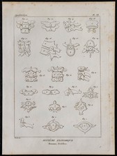 1825 - Mulinelli Umani -