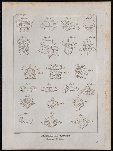 1825 mulinelli umani - 1825,