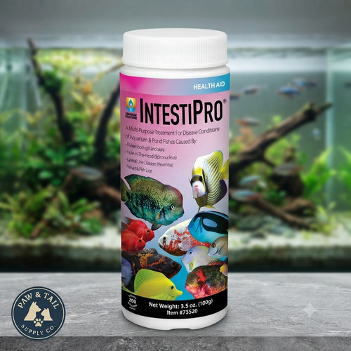 Hikari intestipro polvere - hikari,
