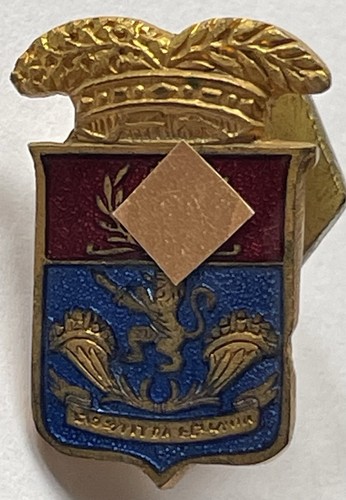 Distintivo provincia - distintivo, di