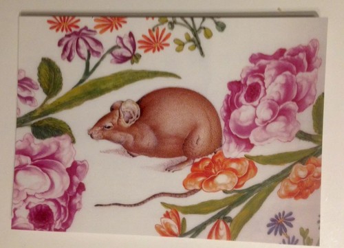 Cartolina fiori con topo - cartolina,,