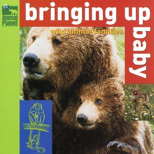 Bringing baby wild animal - up,