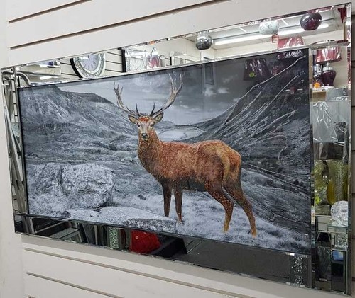 Quadro stag highlands - stag, in