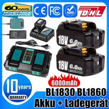 18 V 6000 mAH per batteria