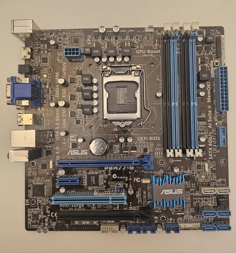 Scheda madre asus - madre,
