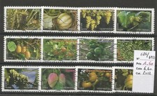 " Flore, les fruits du monde " (2012)