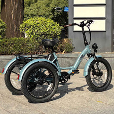 Fafrees Cargo Trike 48V