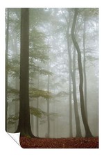Poster artistico alberi alti