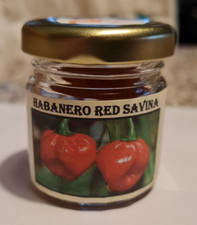Habanero Red Savina Polvere
