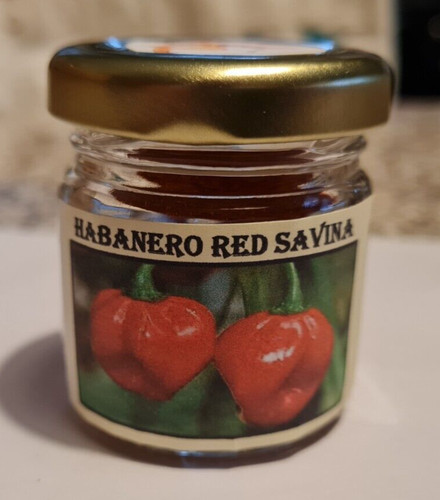 Habanero red savina polvere - habanero,