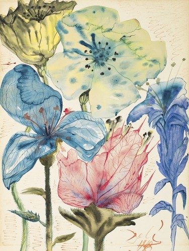 Salvador dalì fleurs - salvador,