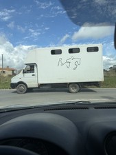 Camion  trasporto  cavalli