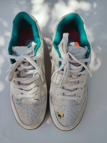 Nike dunk low - low, ice