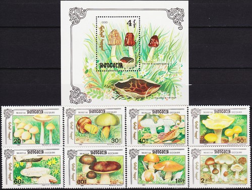 Set mongolia funghi s 1991 - e,