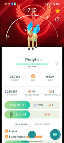 Ponyta lucido indossare - ✨ponyta, lucido✨