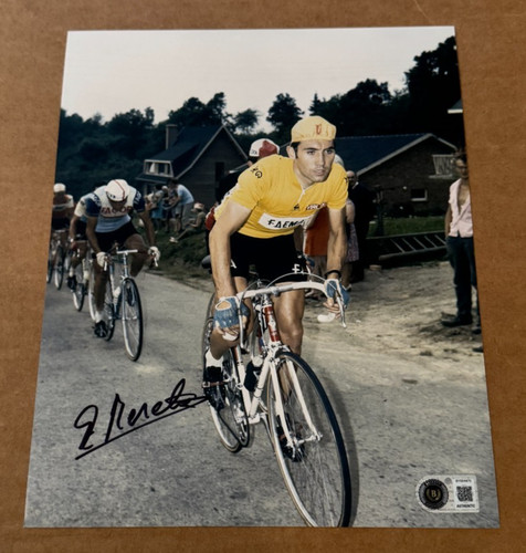 Foto firmata eddy merckx tour - merckx,
