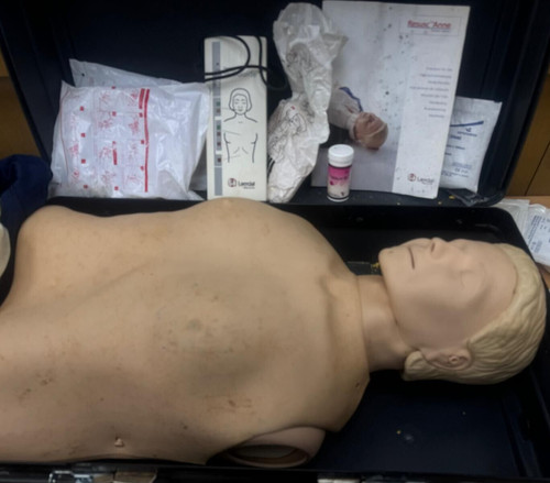 Manichino torso laerdal - manichino,