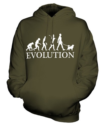 Shiba inu evolution man - shiba,