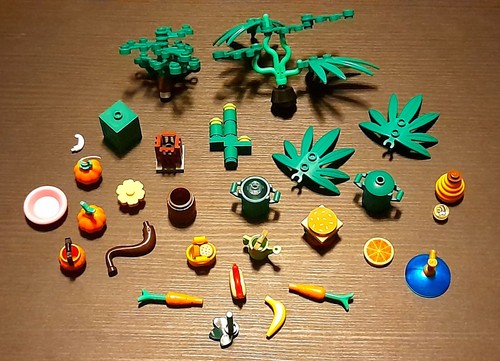 Grosso lotto lego piante - lego,