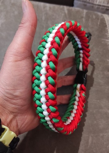 Collare cane paracord - cane, in