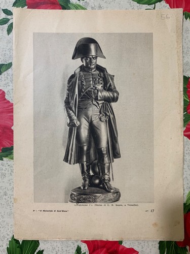 Napoleone dal - “napoleone,
