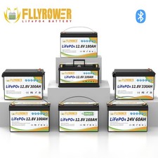 Batteria litio 12v 100ah - al,