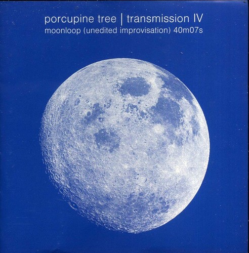 Porcupine tree - porcupine,