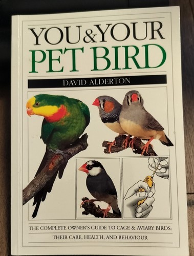 You your pet bird by - your,