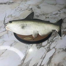 Cool Catfish Singing Animated