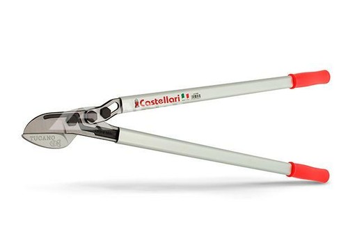 Troncarami professionale