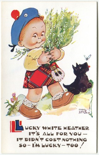 Lucky white heather scottie - lucky,