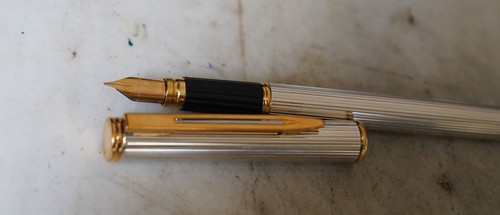 Magnifico penna stilo waterman - penna,