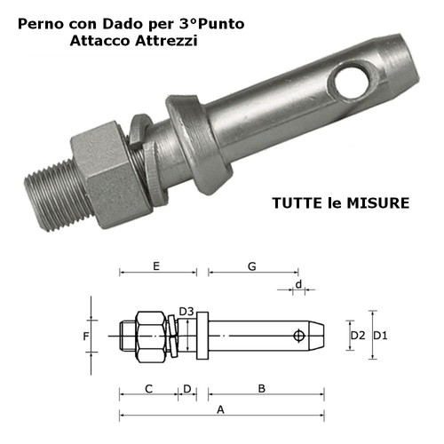 Perno con dado terzo - dado, punto
