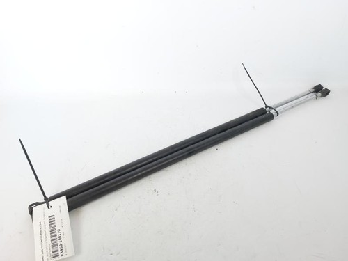1498071080 pistoncini - 1498071080,
