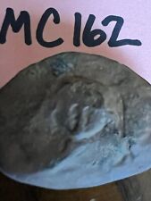 Fossile di Mazon Creek