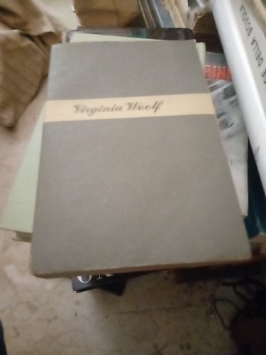 Virginia woolf lungo - il,
