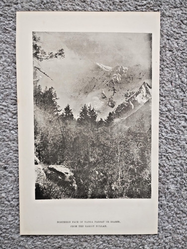Northern face nanga parbat - northern,