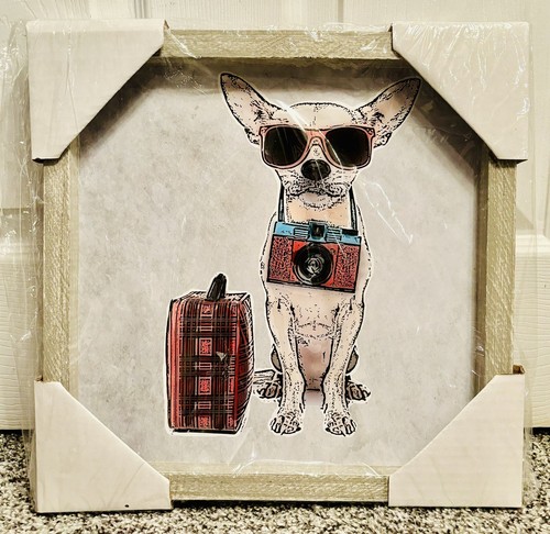 Traveling tourist dog - tourist,