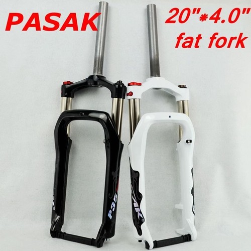Forcella grassa bici neve - , 20