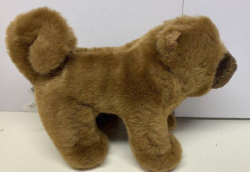 Ganz chow peluche - chow,