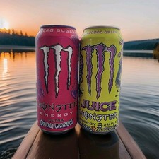 NUOVO SAPORE MONSTER ENERGY